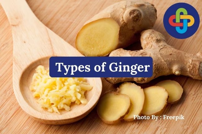  Meet 4 Popular Types of Ginger Found Around the World